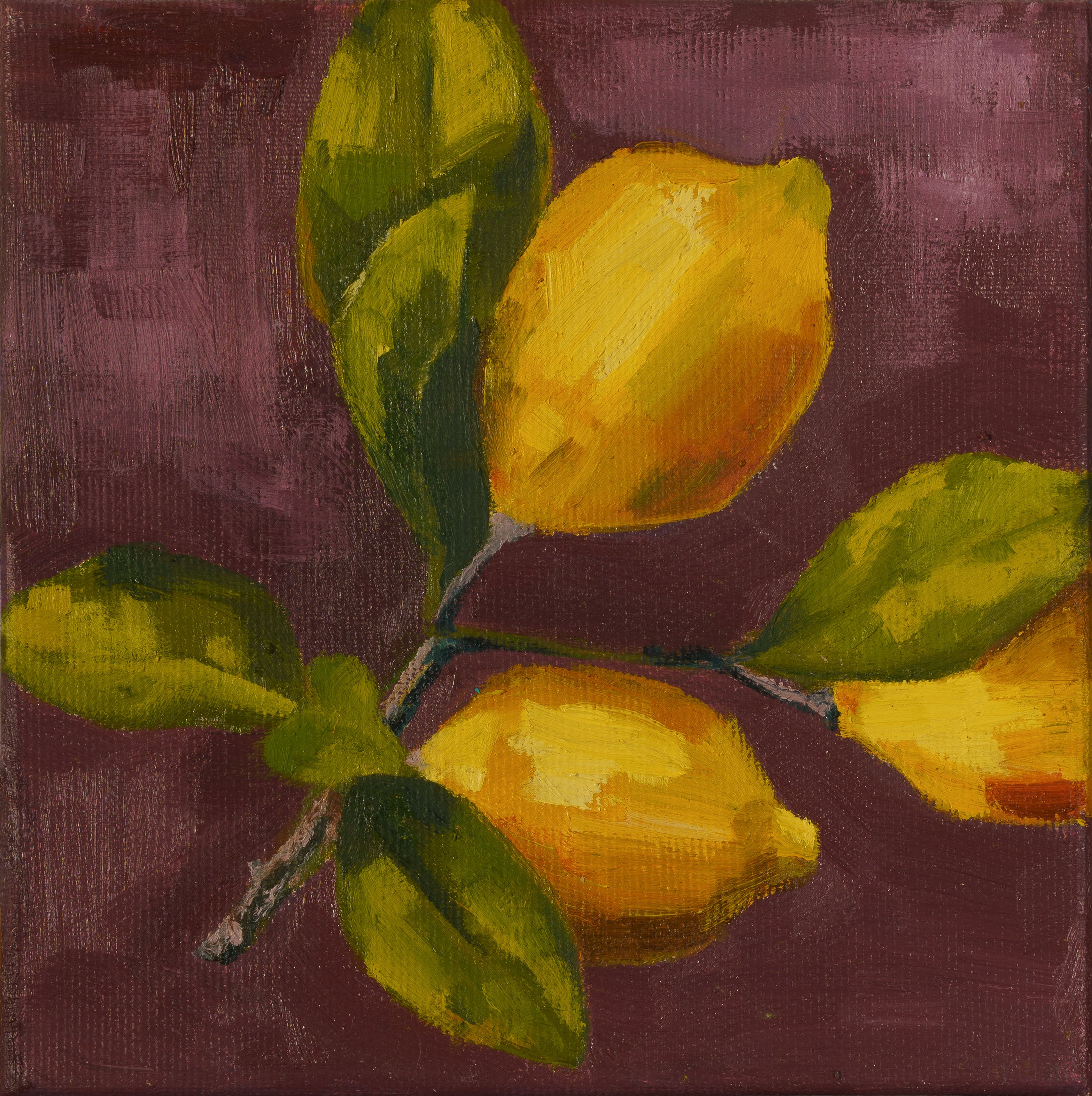 Pintura al óleo de formato pequeño que muestra tres limones amarillos con sus hojas verdes sobre un fondo de color violeta oscuro.